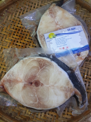 Cá Bớp - Thiên Nhiên